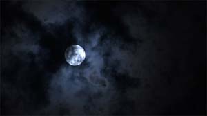 Moon-lit evening.