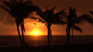 More than a beach dvd, Ambient Calm includes 14 serene scenes.