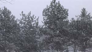 Snowfall.