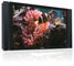 Turn your TV into an aquarium with Ambient Water DVD