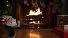 The Holiday Scene