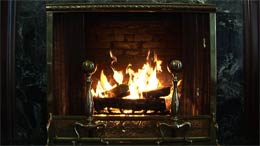 Marble Fire for those Classy Cats out there
