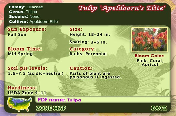 Flower reference menu