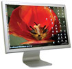 Ambient Flowers: Spring includes bonus dvd-rom content