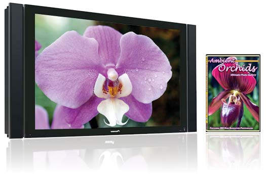 Ambient Orchids turns your TV into a beautiful orchid garden.
