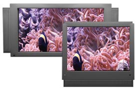 Ambient Water's video aquariums display nicely on all types of TVs.
