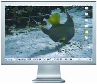 Put snapshots of our fish tank DVD onto your computer desktop.