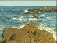 Waves bonus video on our fake aquarium DVD.