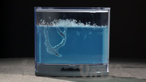 AntWorks Ant Farms 6 days timelapse