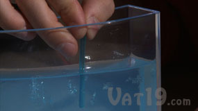 AntWorks prepping the gel ant farm