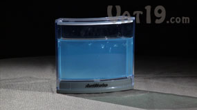 AntWorks Ant Farm starts as a blank gel