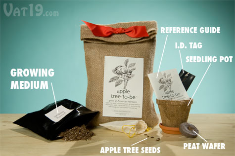 The Apple Tree-to-Be Kit comes with everything you need to grow your own apple tree, including growing medium, Ralls Janet apple seeds, a reference guide, an aluminum i.d. tag, a seedlign pot, peat water, and terra cotta saucer.