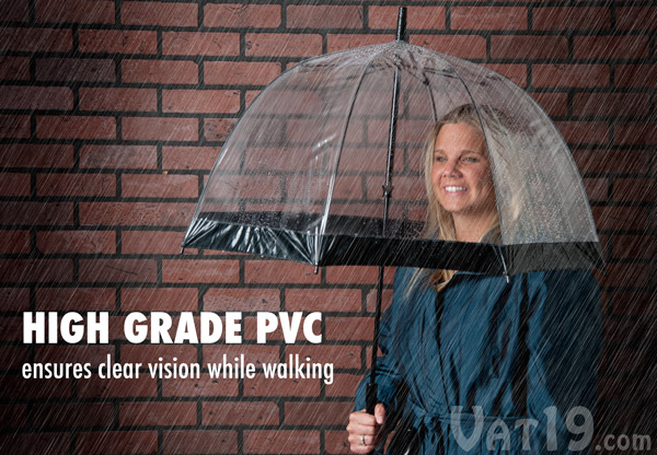 Stylish Birdcage Umbrella by Fulton