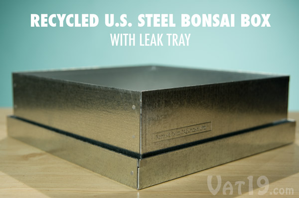 The recycled US Steel packaging that the Dawn Redwood Bonsai Kit comes in also serves as a bonsai tray.