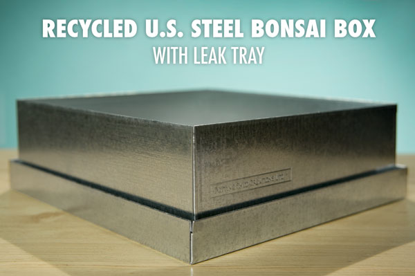 The recycled US Steel packaging that the Dawn Redwood Bonsai Kit comes in also serves as a bonsai tray.