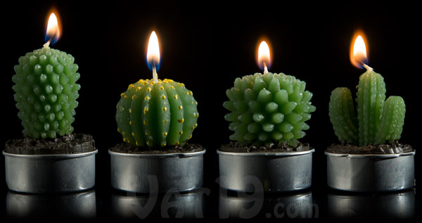 Each set of Cactus Tea Light Candles includes four styles of cactus plant.