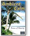 Ambient Calm DVD