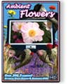 Ambient Flowers: Summer DVD PPR