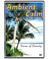 Ambient Calm DVD