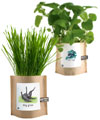 Pet-friendly Garden in a Bag
