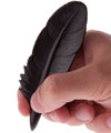 Graphite Object Small Quill