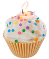 Jumbo Cupcake Candle