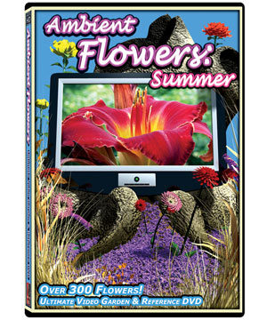 Ambient Flowers: Summer DVD