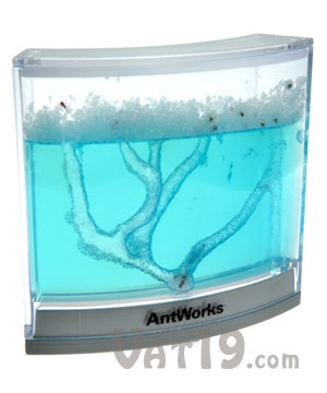 AntWorks Space Age Ant Habitat
