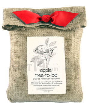 Apple Tree-to-Be Kit