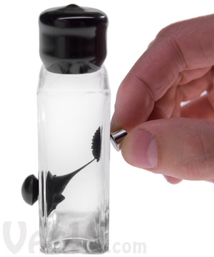 Ferrofluid in a Bottle