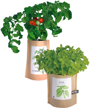 Garden-in-a-Bag