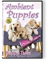Ambient Puppies DVD