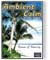 Ambient Calm DVD