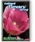 Ambient Flowers: Spring DVD