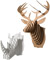 Cardboard Safari Animals