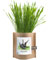 Pet-friendly Garden in a Bag - Dog Grass