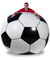 Giant Inflatable Soccer Ball