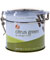 ingenuiTEA Teapot - Citrus Green