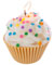 Jumbo Cupcake Candle