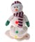 Melting Musical Snowman
