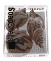 SoapShells SeaShell Soap