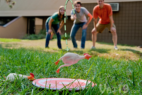 The object of the Flickin' Chicken Game is to toss rubber chickens onto a small target disc.