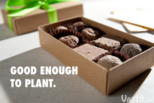 Garden Bon Bons look good enough to eat.