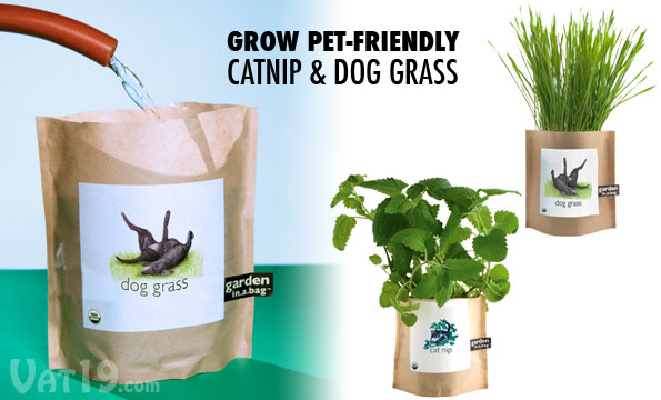 Just add a little water and sunlight to grown your own cat nip and dog grass.