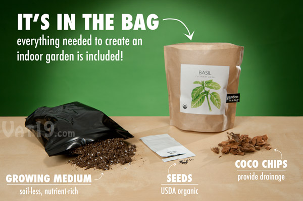 Contents of the DIY Garden in a Bag