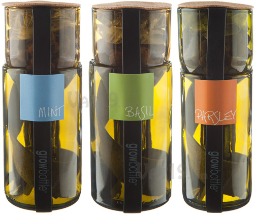 Grow Bottles are available in mint, basil, and parsley.