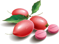 Miracle Fruit icon