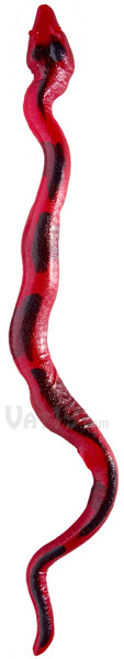 Red Cherry and Blue Raspberry Gummy Python as seen from above.
