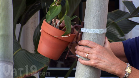 The Pot Latch Flower Pot Hanger can be screwed or tied to any vertical surface.