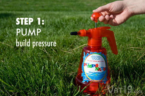 Step 1: Pump the lever to build pressure.